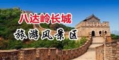插白浆国产在线观看中国北京-八达岭长城旅游风景区